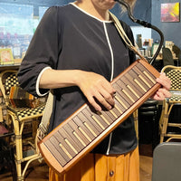 Musician playing the Suzuki W 37 Melodion in a bar