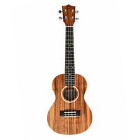 Twisted Wood Aurora Ukulele