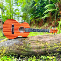 Twisted Wood Pioneer Ukulele