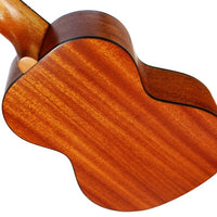 Twisted Wood Rock Roots Ukulele