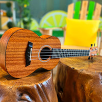 Twisted Wood Rock Roots Ukulele