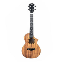 Twisted Wood Switchback Ukulele