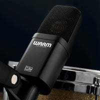 Warm Audio WA-14 Microphone Stereo Pair