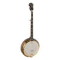 Washburn B17 Americana 5-String Banjo (Tobacco Sunburst)