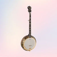 Washburn B17 Americana 5-String Banjo (Tobacco Sunburst)