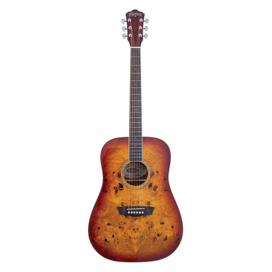 Washburn Deep Forest Burl D Acoustic Guitar