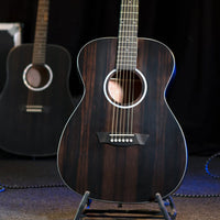 Washburn Deep Forest Ebony FE Acoustic-Electric Guitar (Striped Ebony)