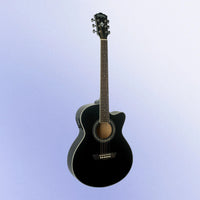 Front view of Washburn EA12 Festival Series Mini Jumbo Acoustic Electric Guitar on purple background