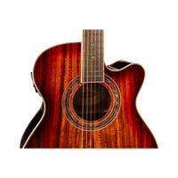 Washburn EA55G Festival Acoustic-Electric Guitar (Koa Burst)