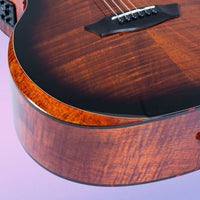 Close up view of Washburn G12FCE on purple background