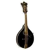 Front view of Washburn M1SD Americana A-Style Mandolin on white background